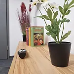 Magisches Wachstein Hébergement de vacances *