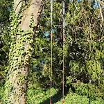 Hébergement de vacances Magisches Wachstein *