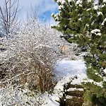 Magisches Wachstein Hébergement de vacances *