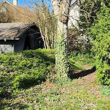 Magisches Wachstein *