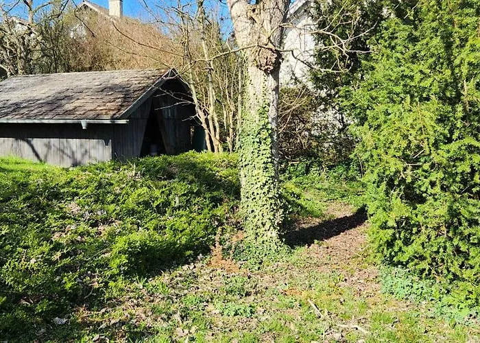 Magisches Wachstein *
